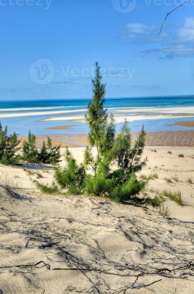 bazaruto ö, moçambique foto