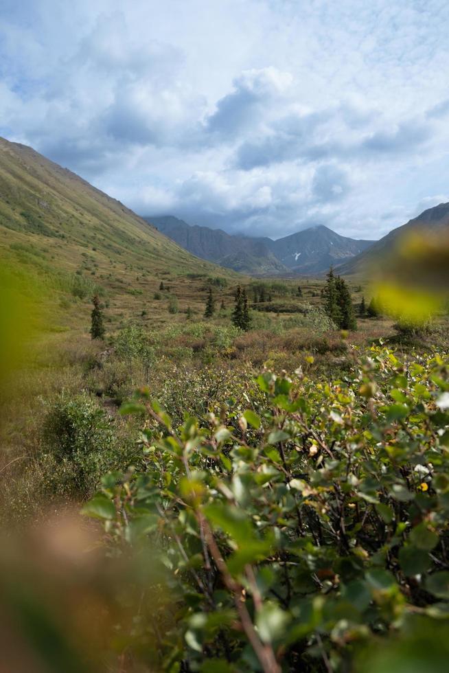 natur landskap i alaska foto