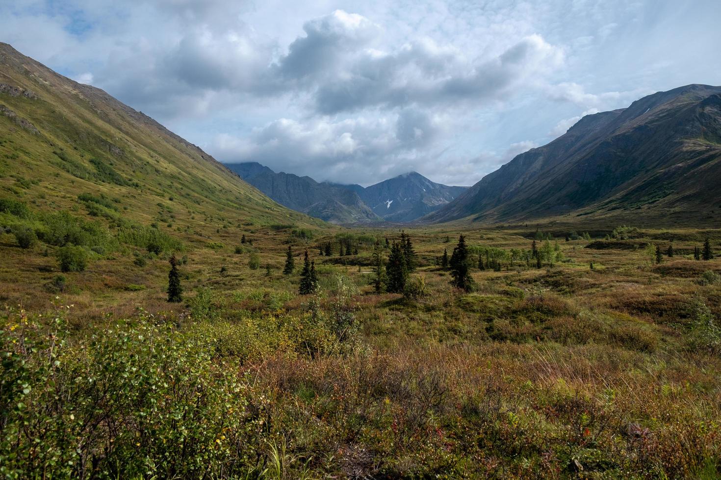 natur landskap i alaska foto