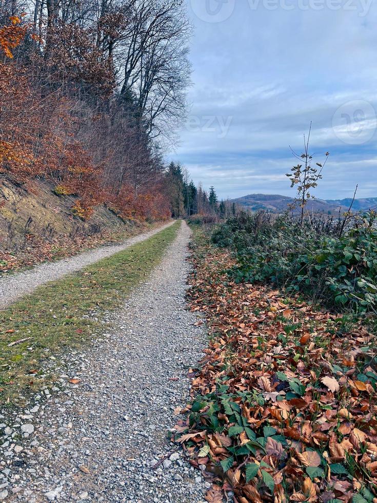 väg i berg, höst skog, Tyskland, höst löv foto