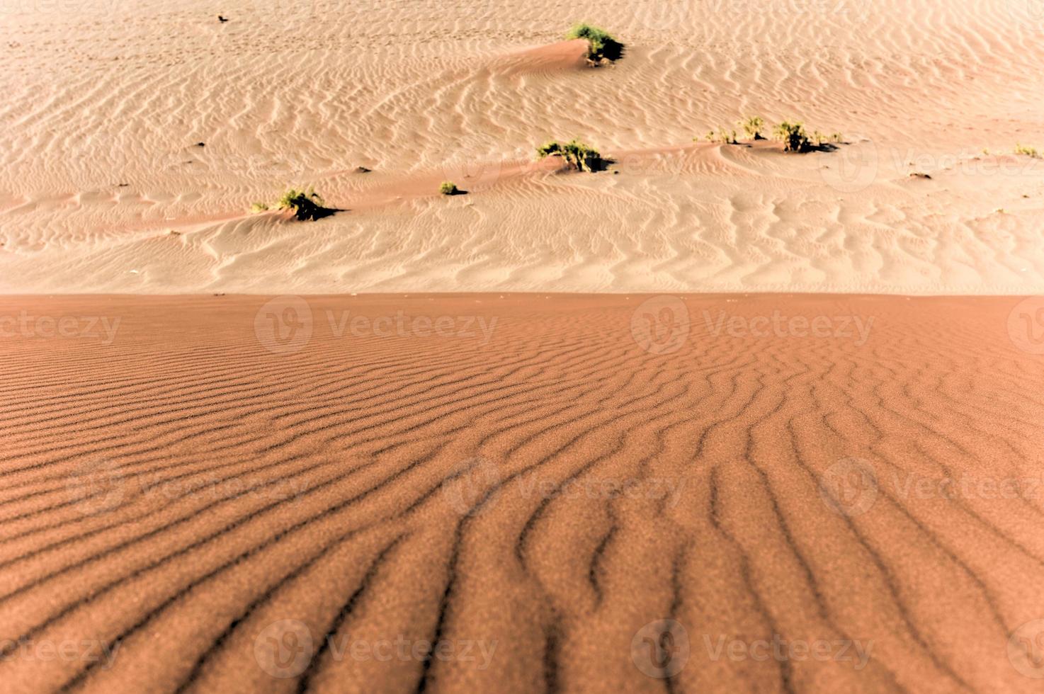 sossusvlei öken, namibia foto