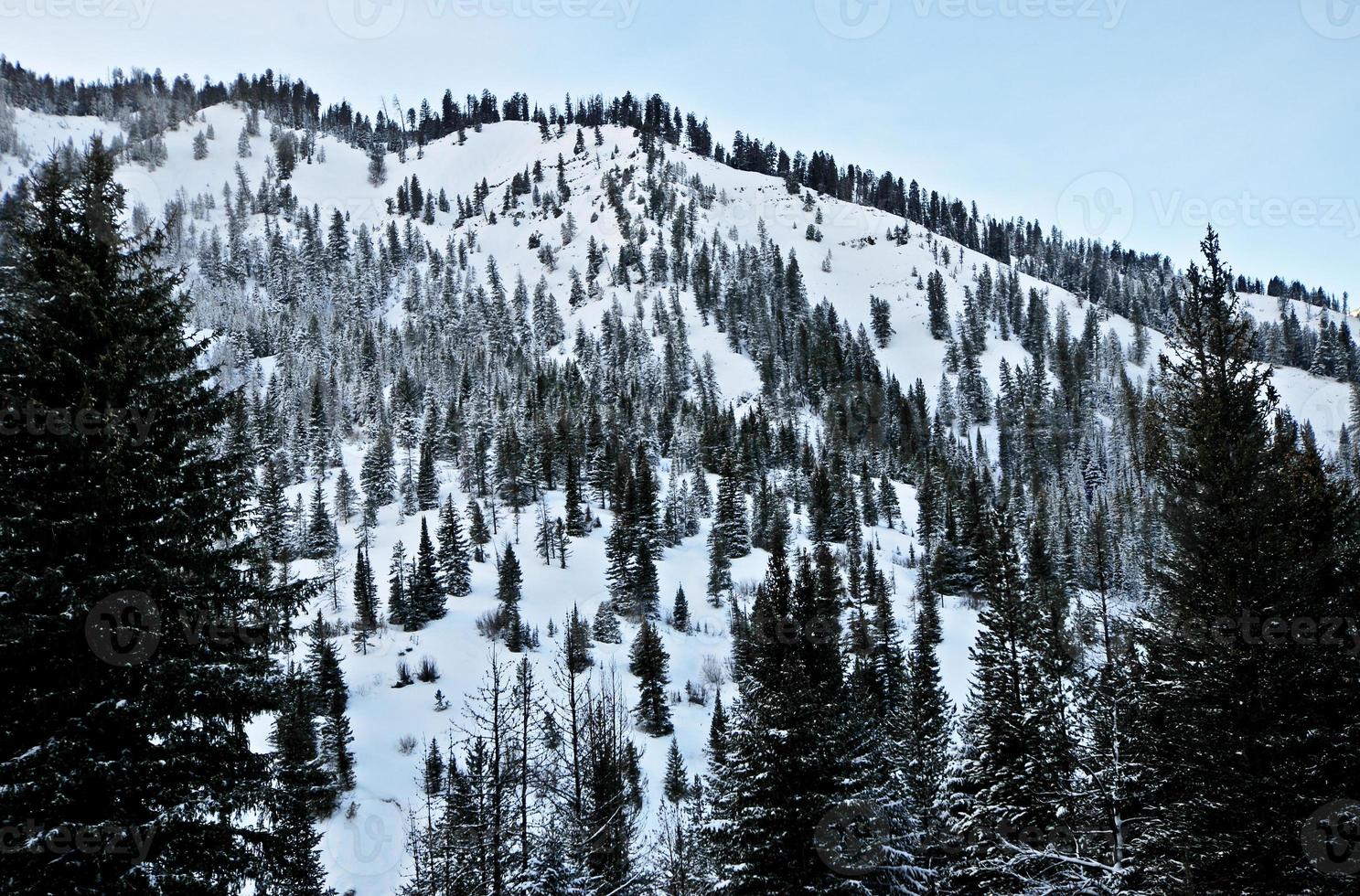 färsk snöig landskap tvärs över grå flod i Wyoming, USA under de vinter. foto