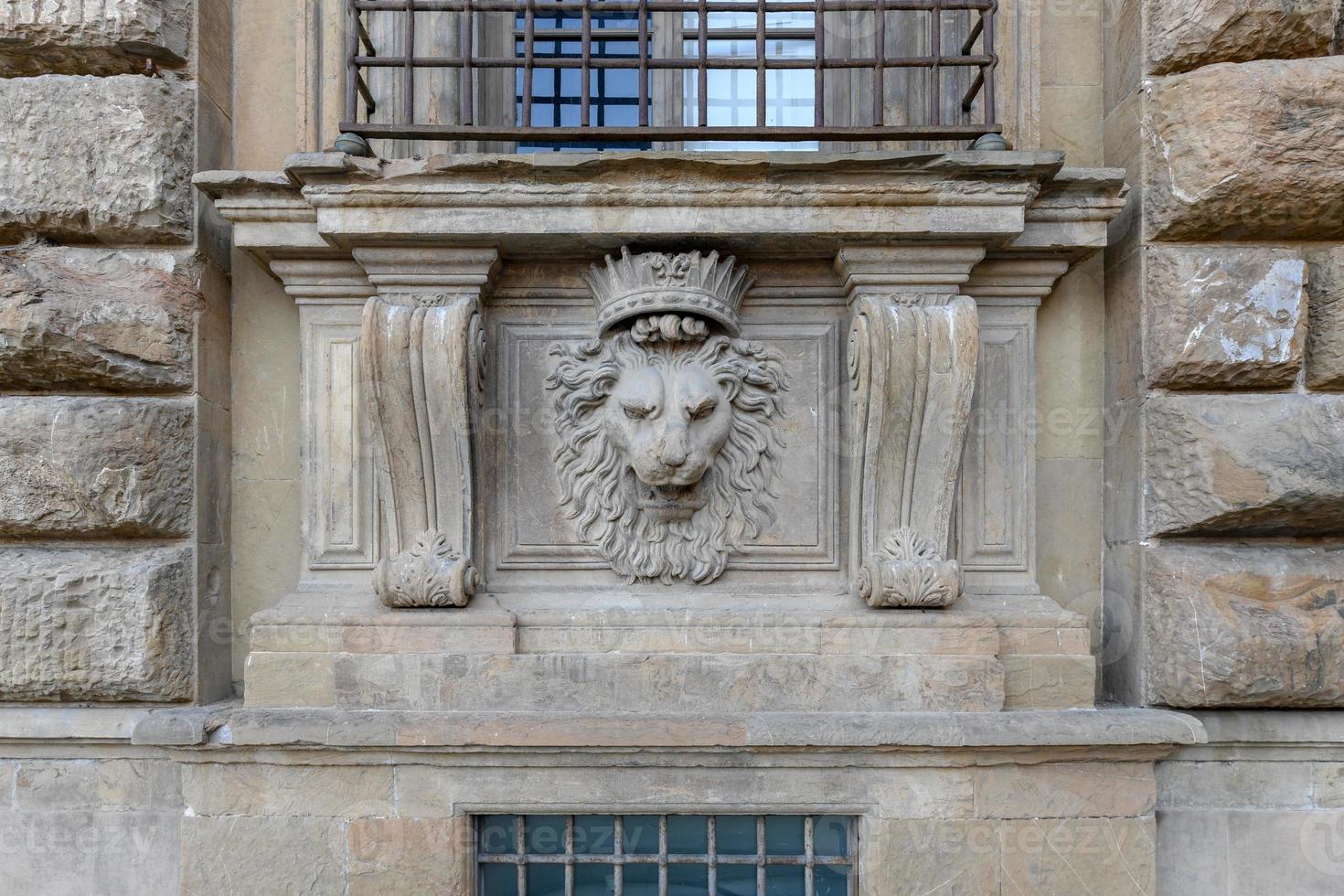 stänga upp lejon stuck på palazzo pitti, de gammal palats av medici familj i Florens, Italien. foto