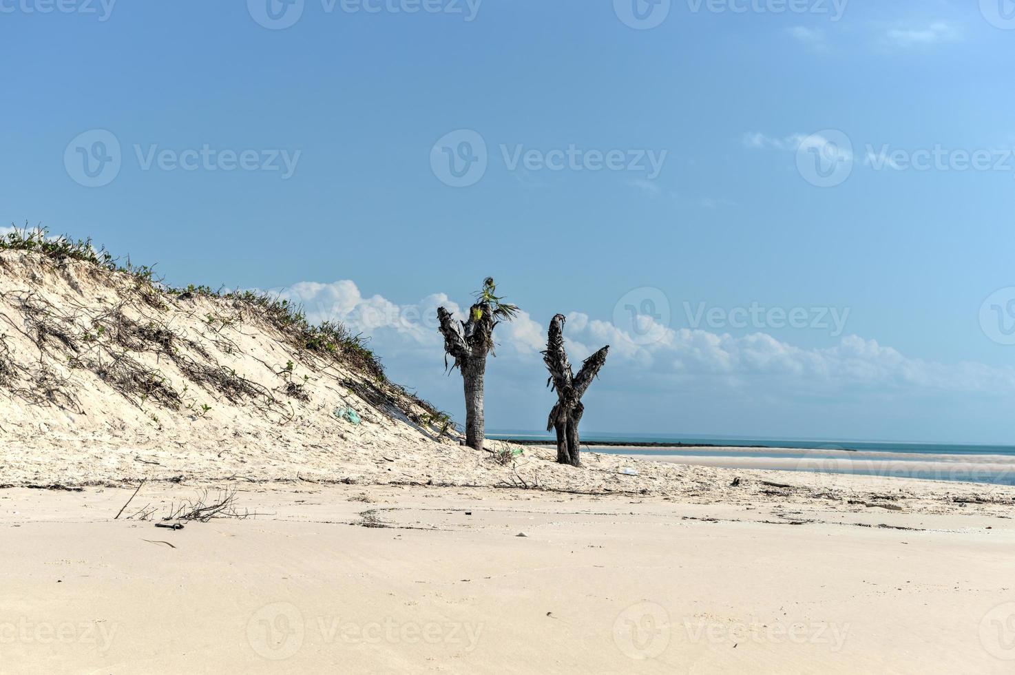 magaruque ö - moçambique foto