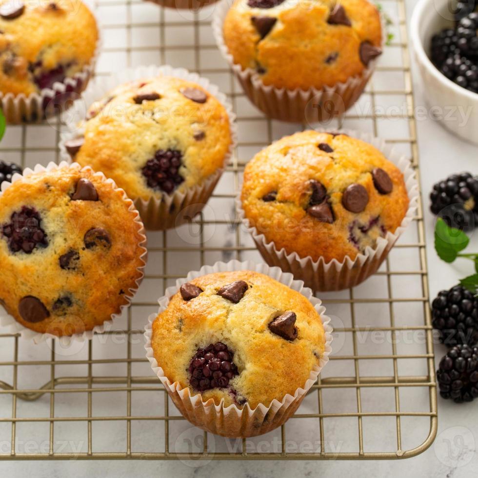 björnbär och choklad chip muffins, sommar recept foto