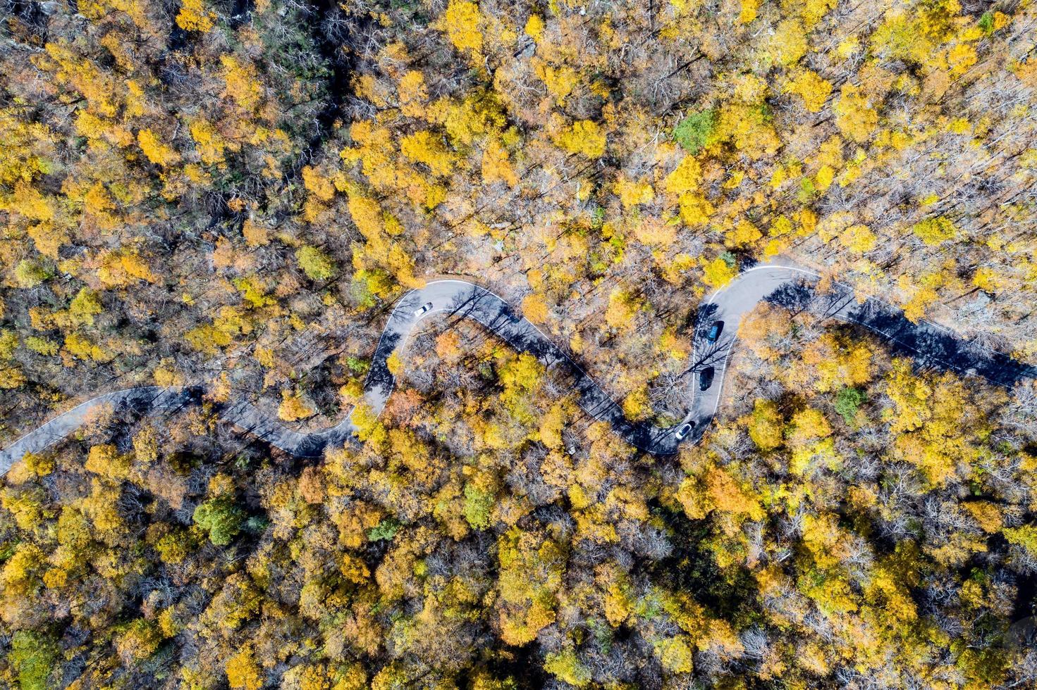 panorama- se av sent falla lövverk i smugglare hack, vermont. foto