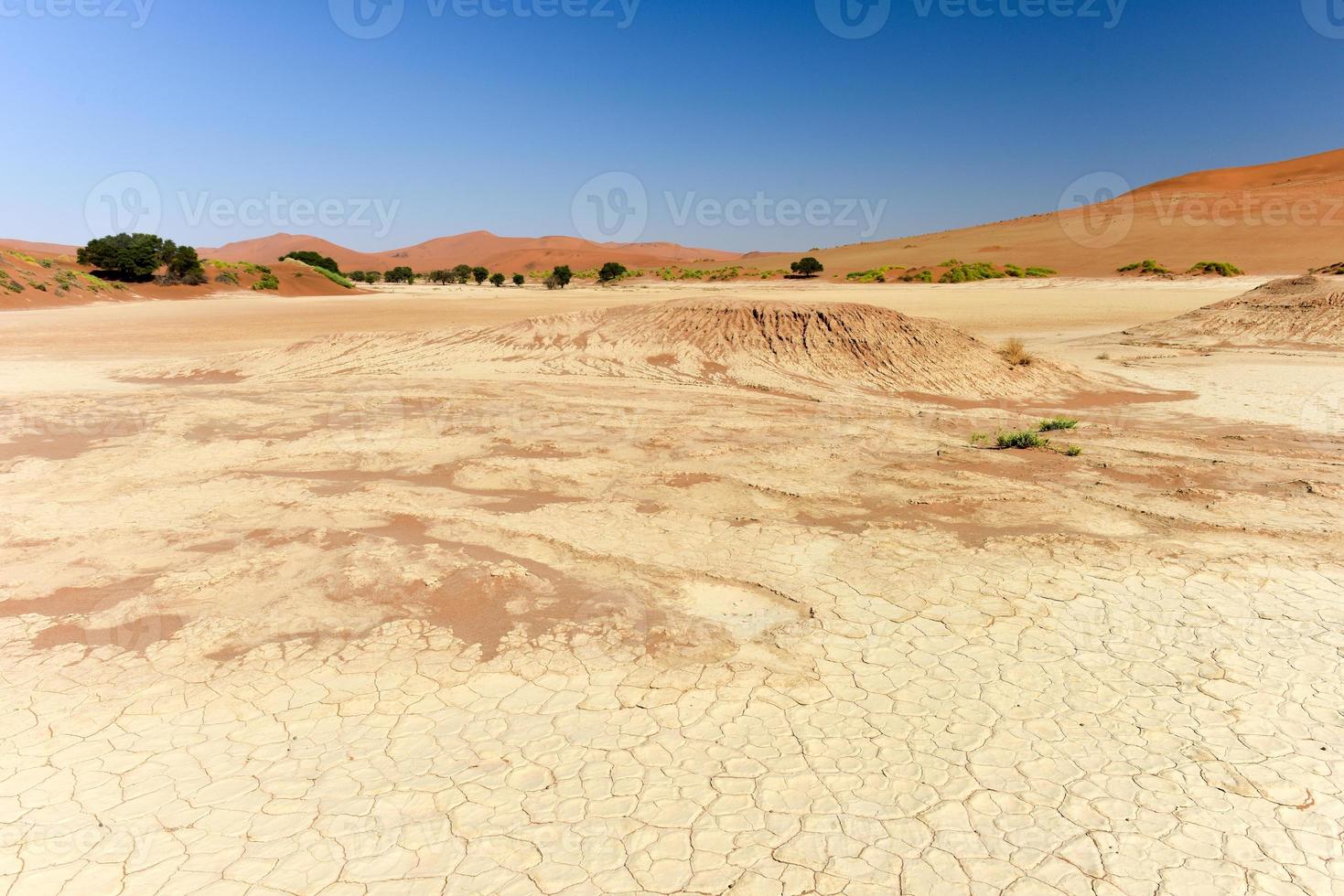 sossusvlei öken, namibia foto