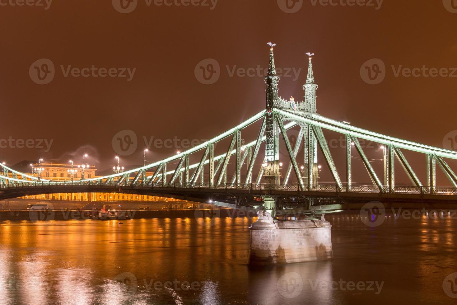 frihet bro - budapest, ungern foto