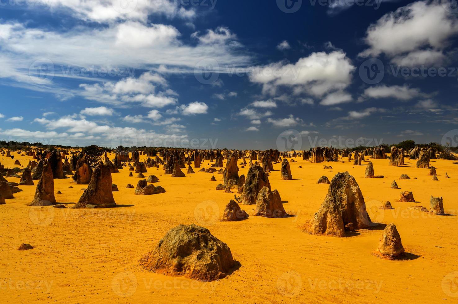 toppar öken, Australien foto