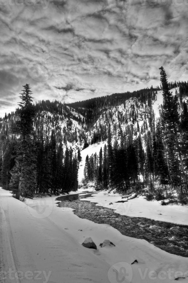 färsk snöig landskap tvärs över grå flod i Wyoming, USA under de vinter. foto