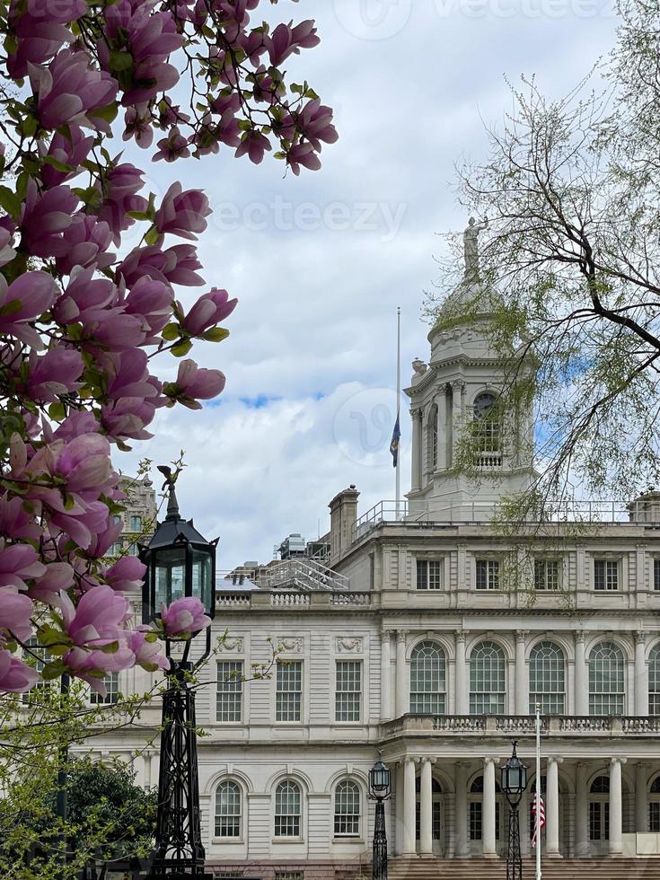 manhattan stad hall under de vår med blomning magnolior i de parkera. foto