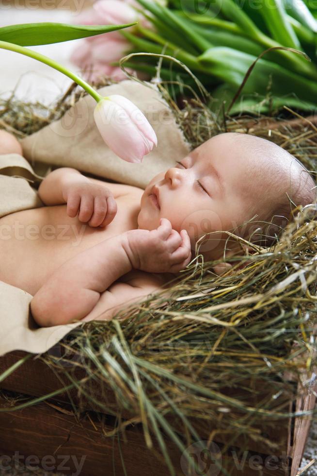 söt liten bebis är liggande i de trä- låda med tulpan blomma foto