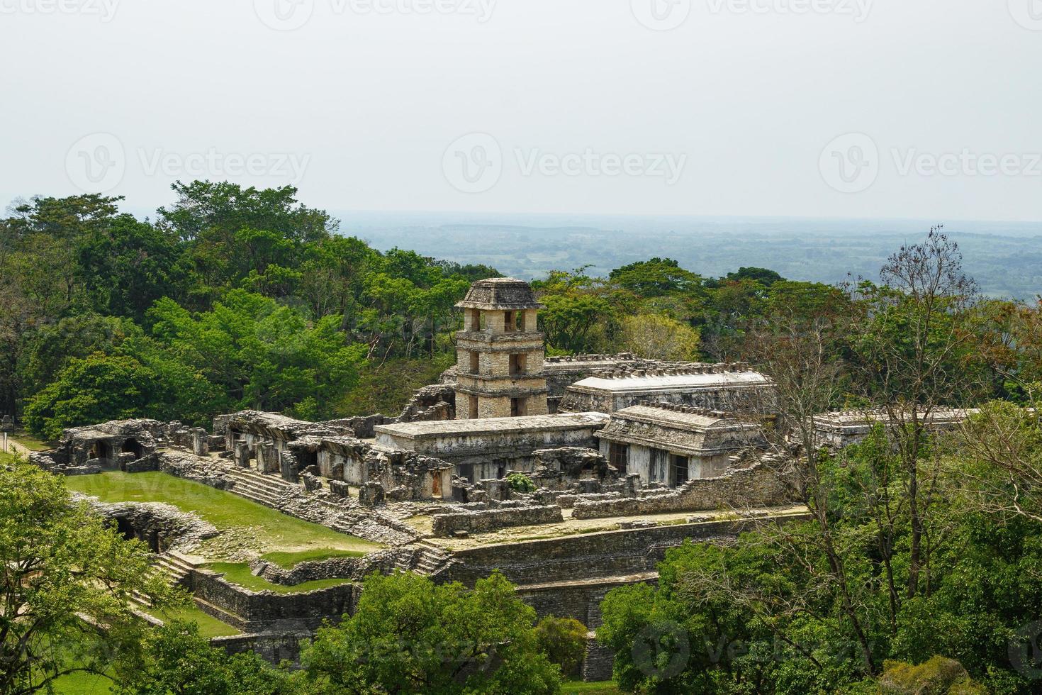 gammal mayan stad dold i de vild djungel foto