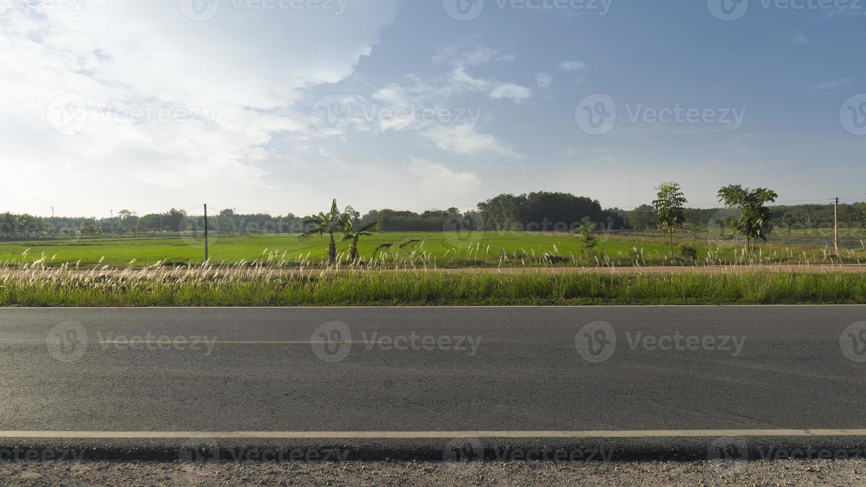 horisontell se av asfalt väg i thailand. bakgrund av parallell jord väg och grön ris fält och träd med elektrisk Pol. under de blå himmel. foto