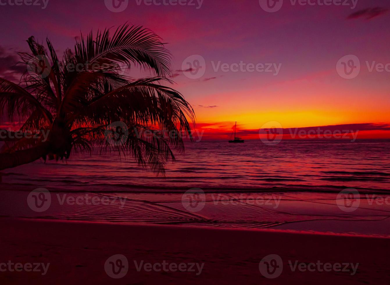 skön solnedgång med handflatan träd på tropisk strand hav se på bakgrund foto