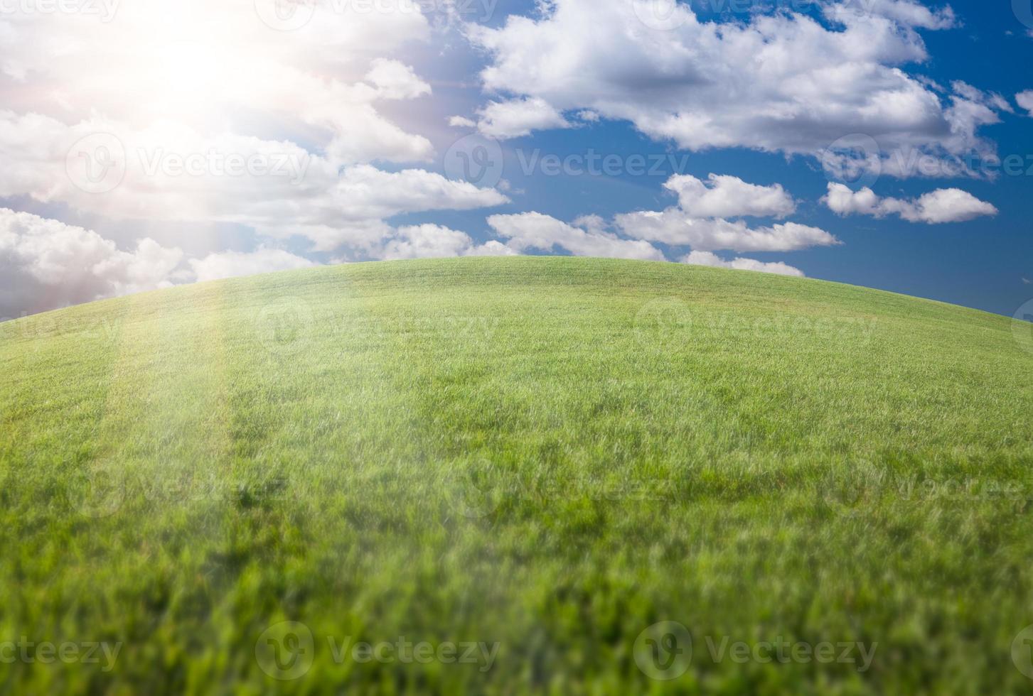 grön gräs fält, blå himmel och Sol foto