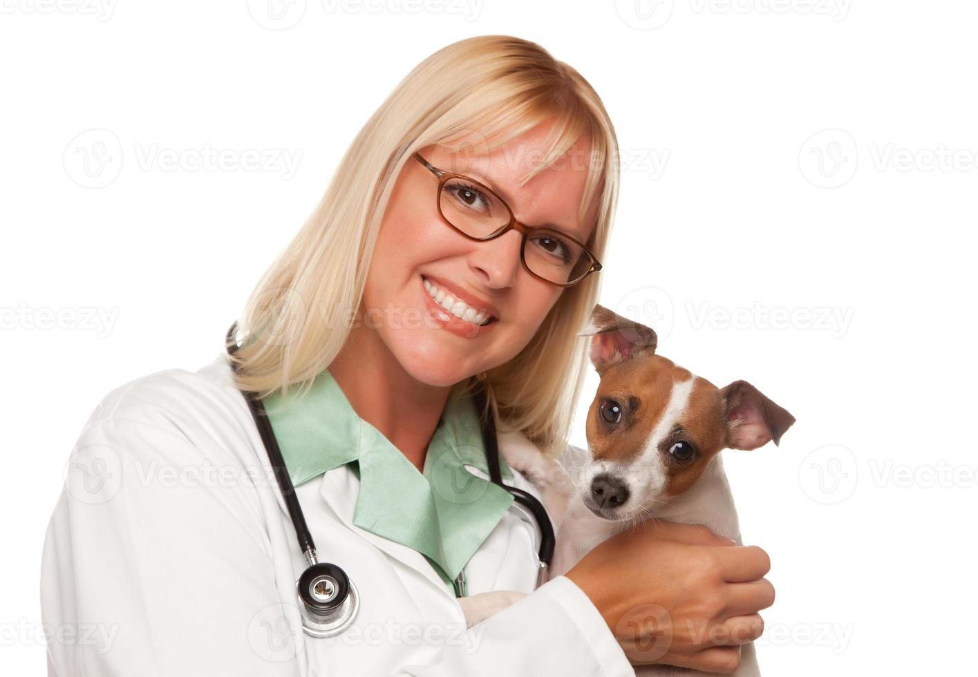 attraktiv kvinna läkare veterinär med små valp foto