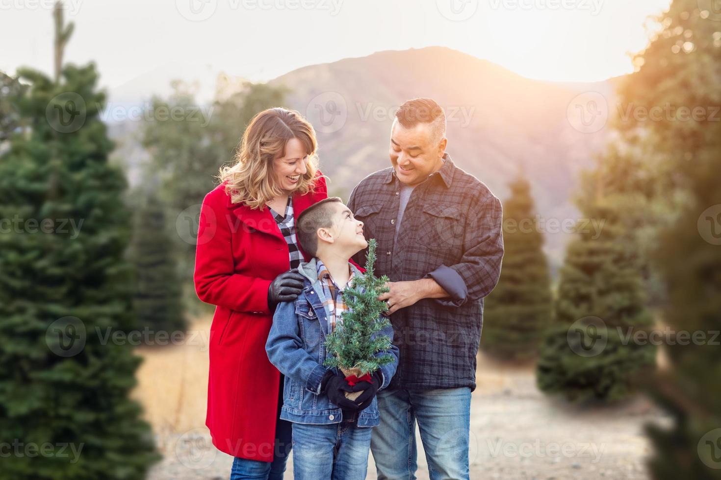 blandad lopp familj utomhus på jul träd bruka foto