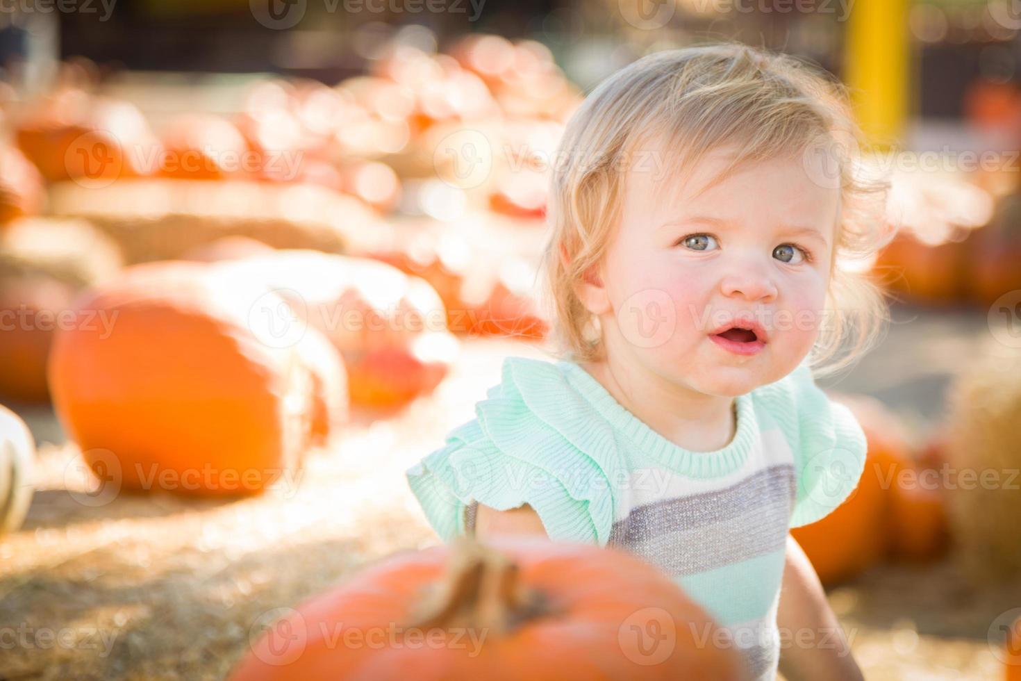 förtjusande bebis flicka har roligt i en rustik ranch miljö på de pumpa lappa. foto