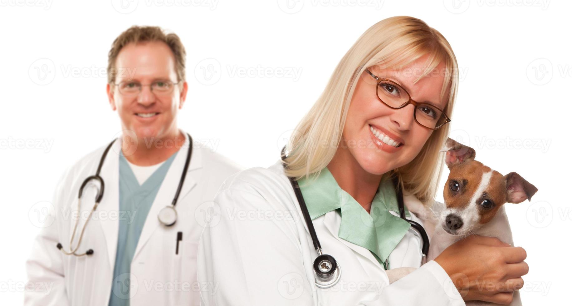 kvinna veterinär doktorer med små valp foto