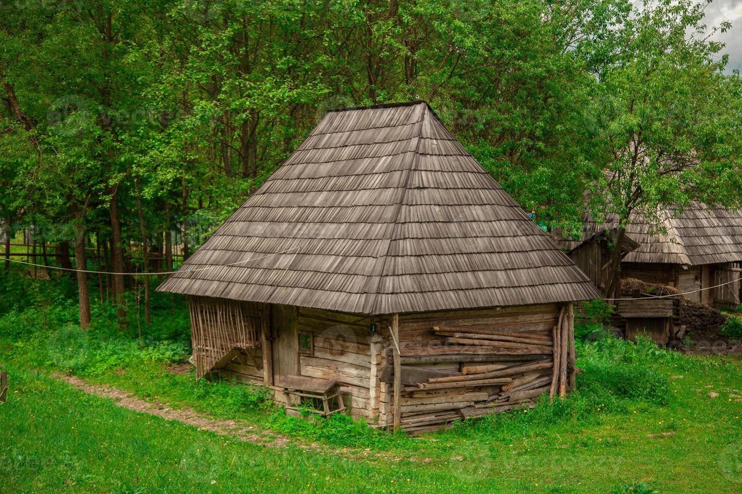 gammal trä- hus i de trän foto