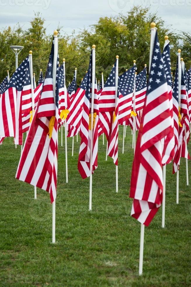 fält av veteraner dag amerikan flaggor vinka i de bris. foto