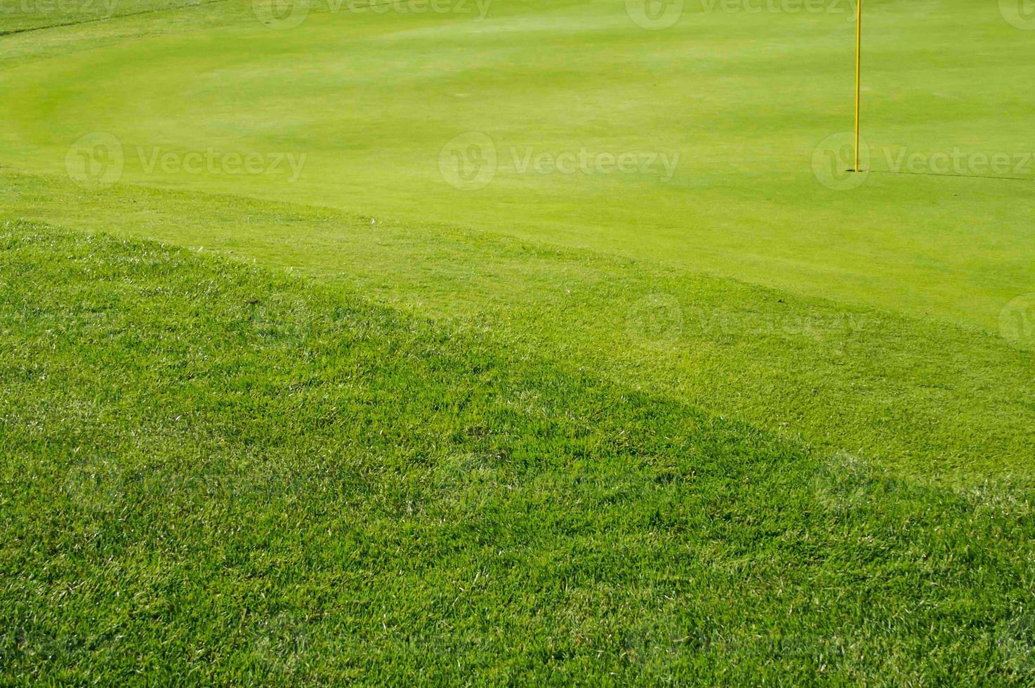 naturskön gräs- golf kurs grön och frans. foto