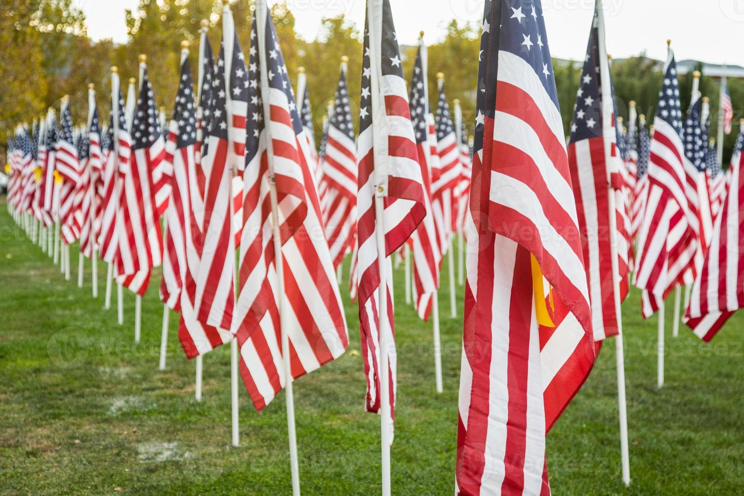 fält av veteraner dag amerikan flaggor vinka i de bris. foto