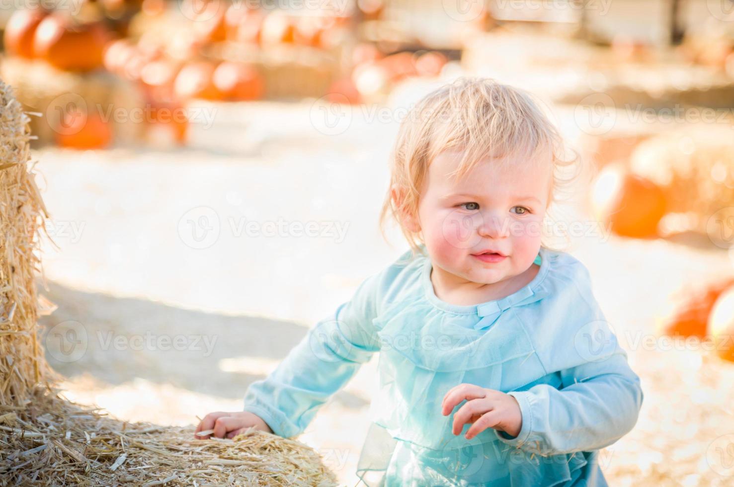 förtjusande bebis flicka har roligt i en rustik ranch miljö på de pumpa lappa. foto
