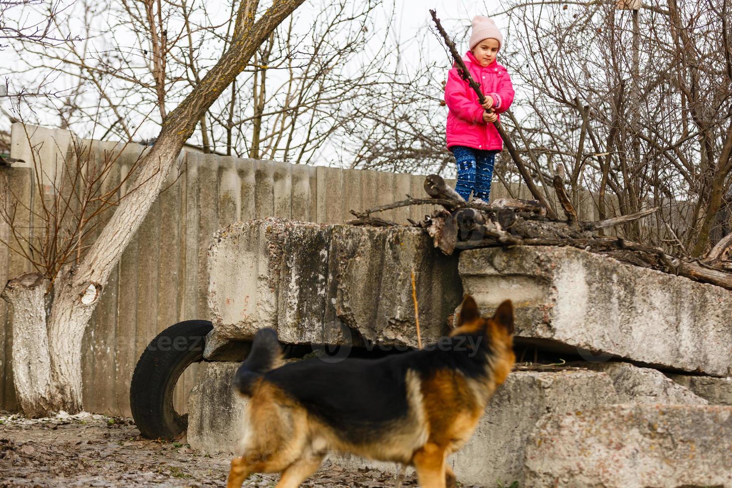 arg hund med blottade tänder foto