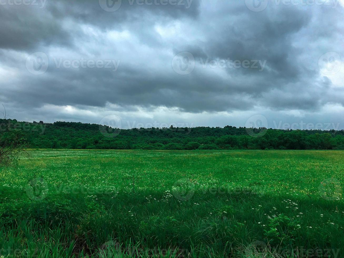 grön fält och kullar mulen himmel foto