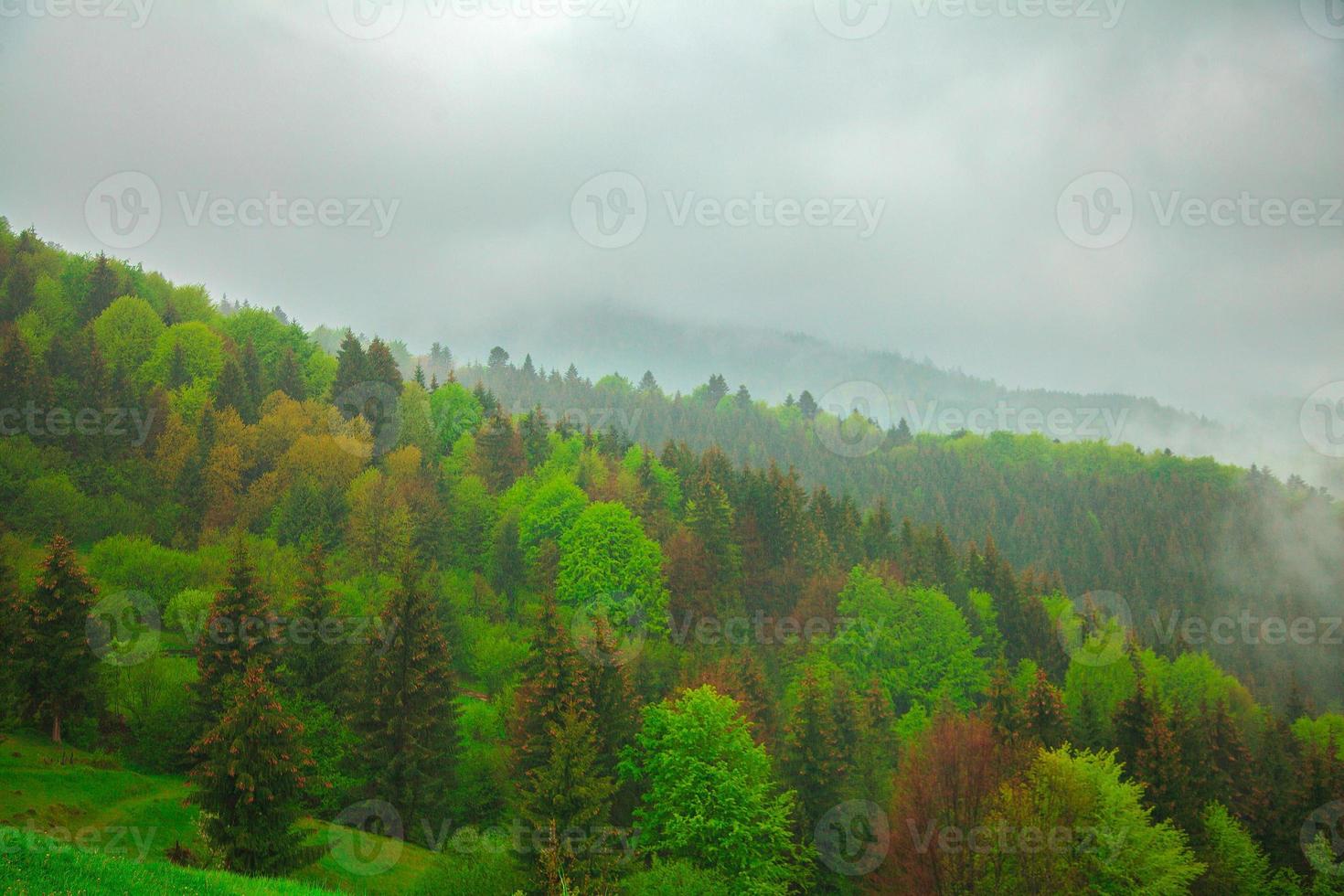 regnig och molnig berg landskap foto