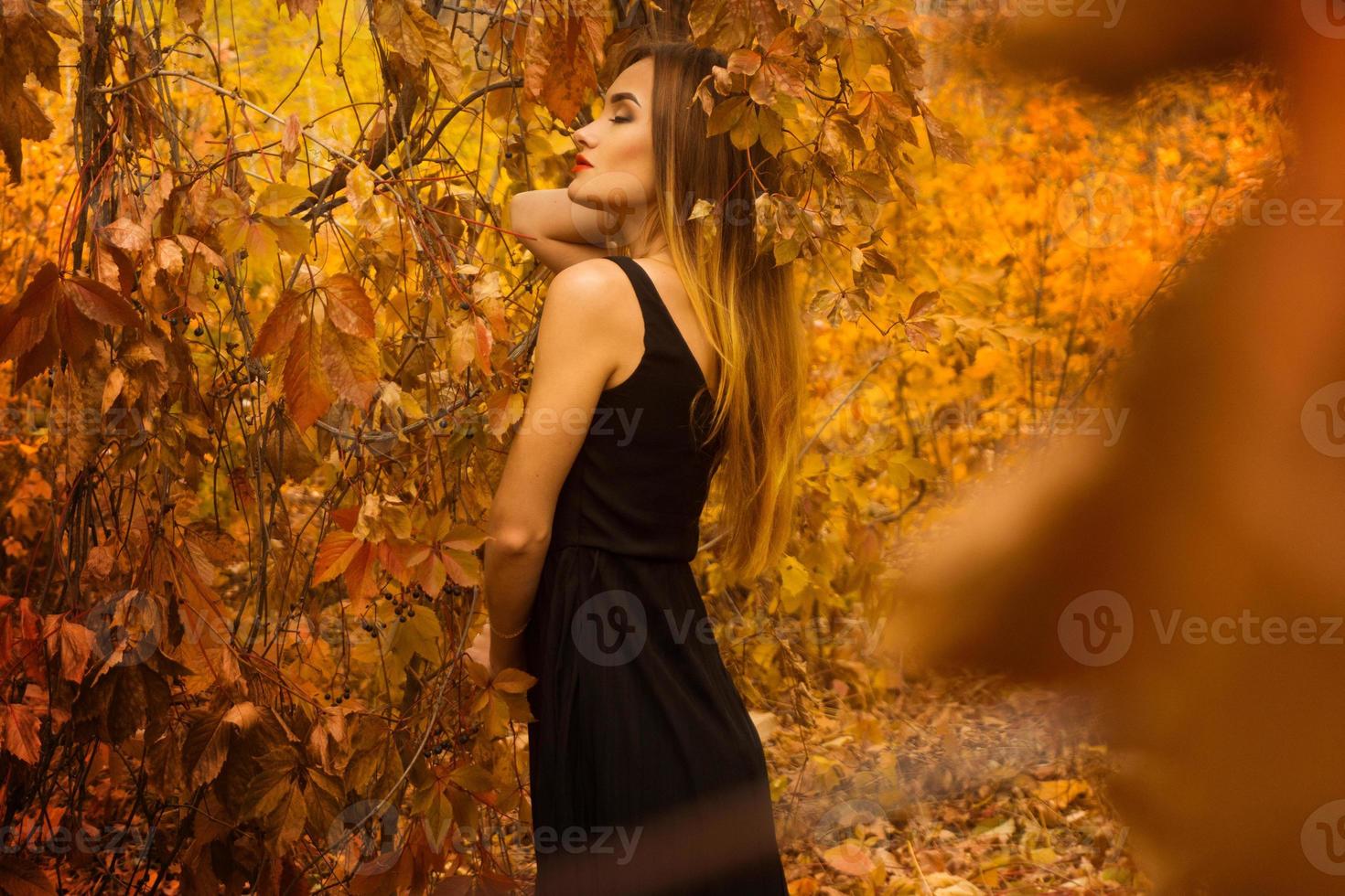 ung sensuell flicka med stängd ögon i svart klänning Framställ på gyllene skog foto
