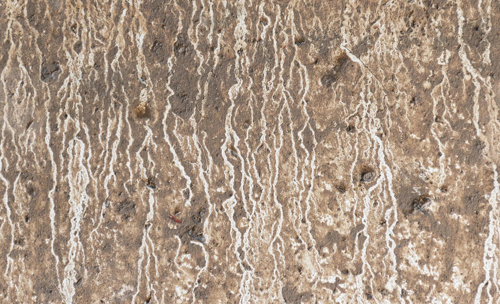 textur cement vägg med regn fläckar foto