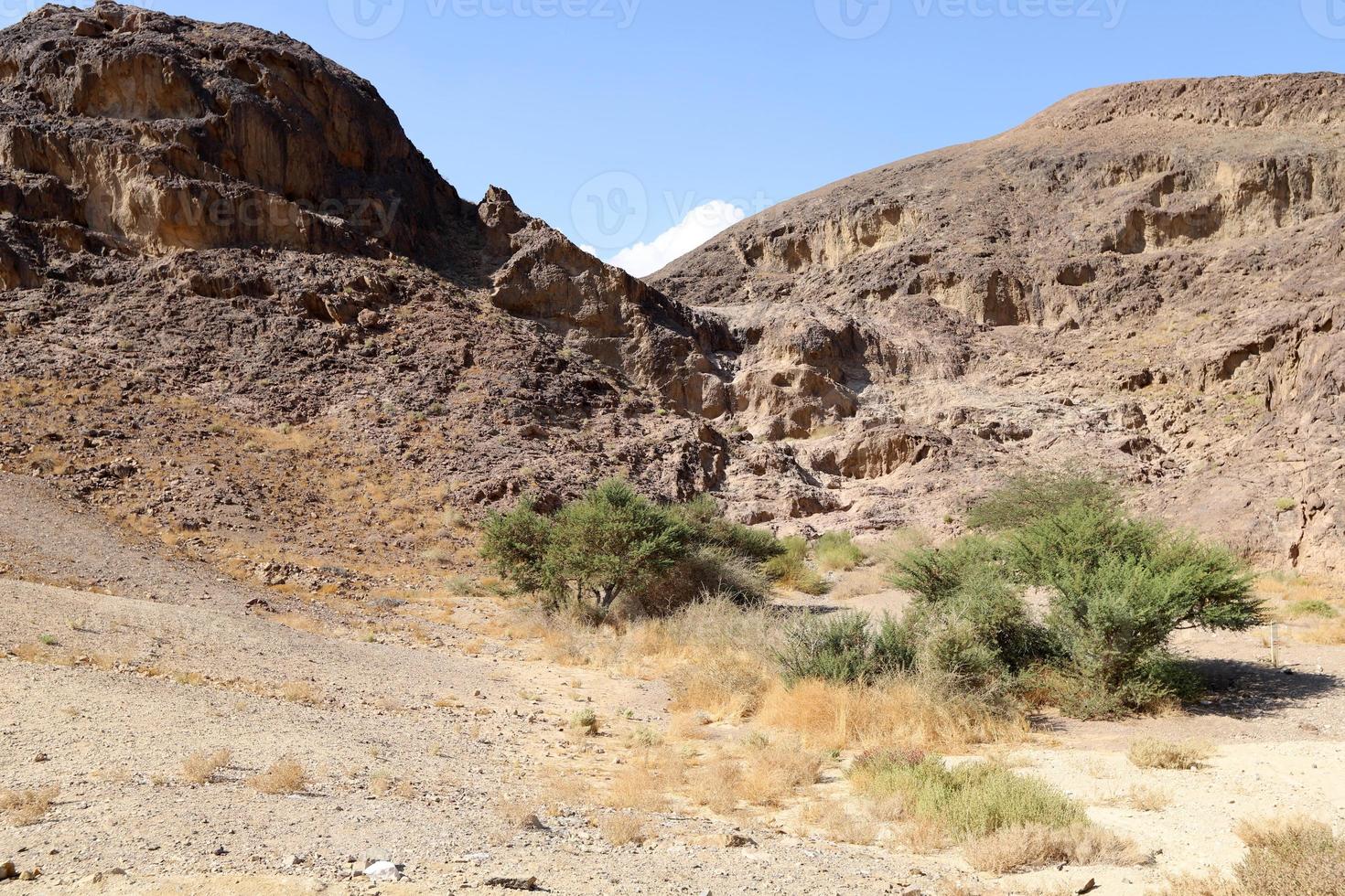 de negev är en öken- i de mitten öster, belägen i de söder av israel. foto