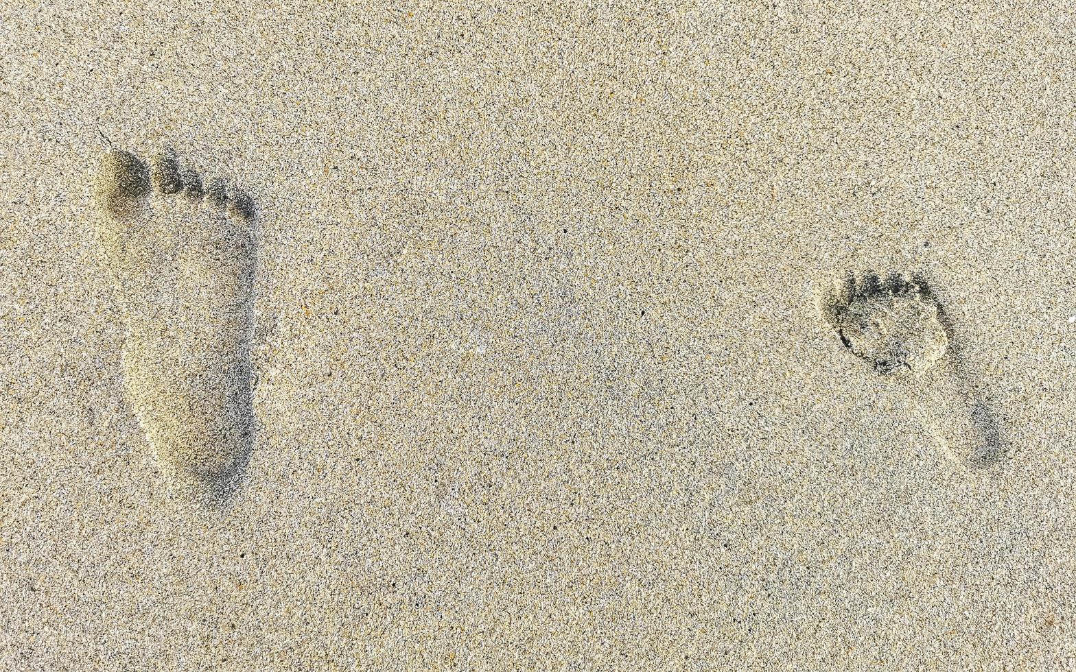 fotavtryck fotspår på de strand sand förbi de vatten Mexiko. foto