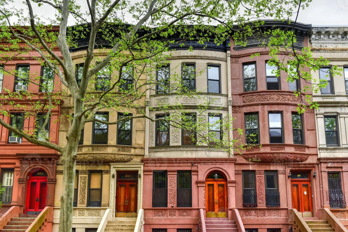 brunstenar i de harlem grannskap av ny york stad. foto