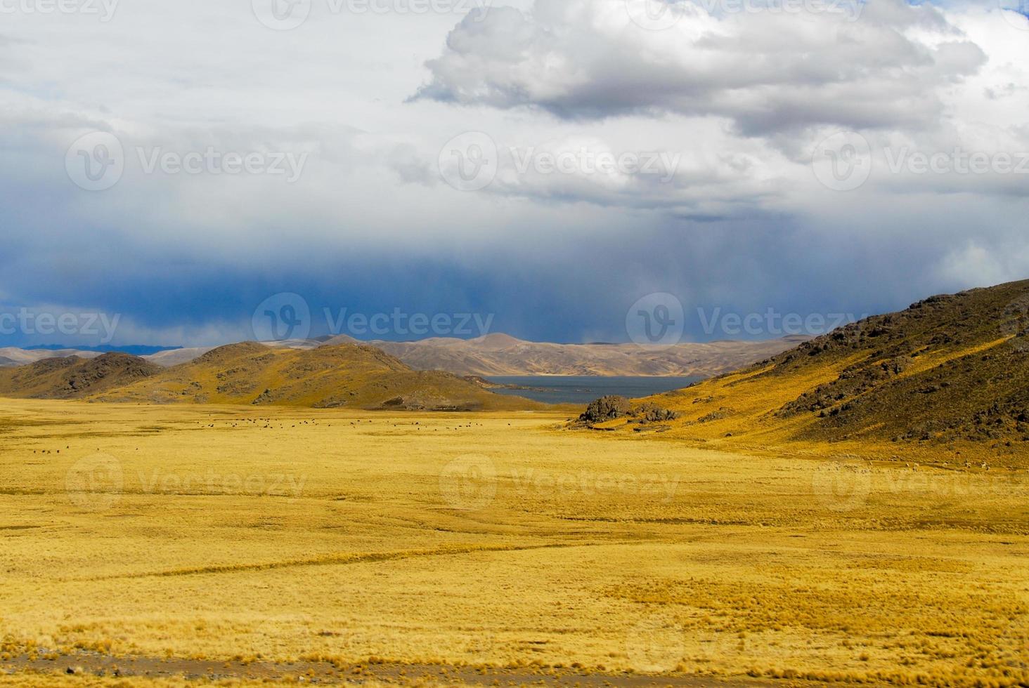 helig dal av de inkaor. kusco till puno, peru. foto