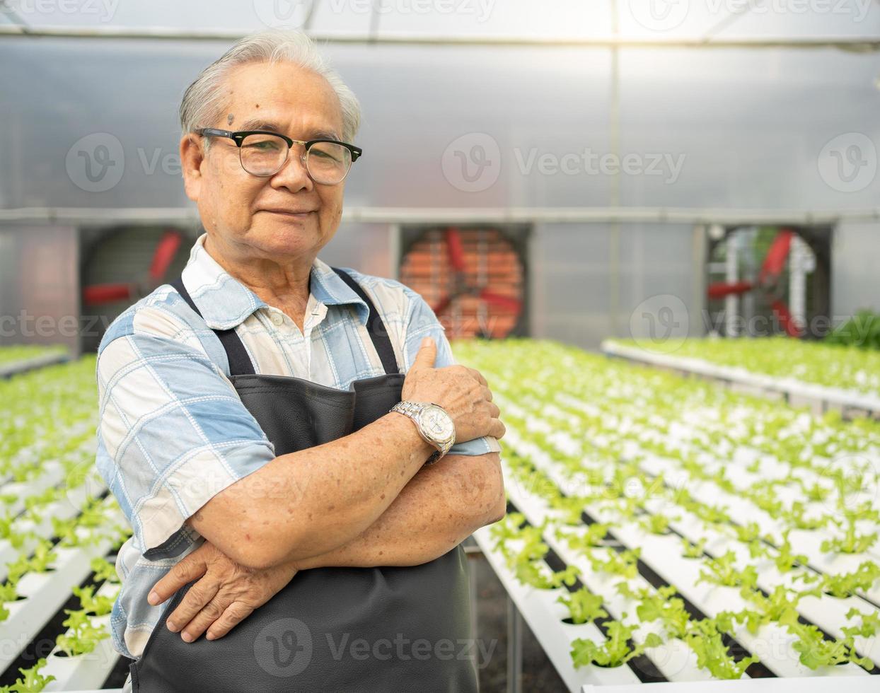 lantbruk jordbrukare framgångsrikt växter organisk sallad vegetabiliska i växthus. Lycklig senior trädgårdsmästare växande hydroponiska bruka med stolthet. asiatisk äldre man så stolt av Framgång hortikultur plantage foto