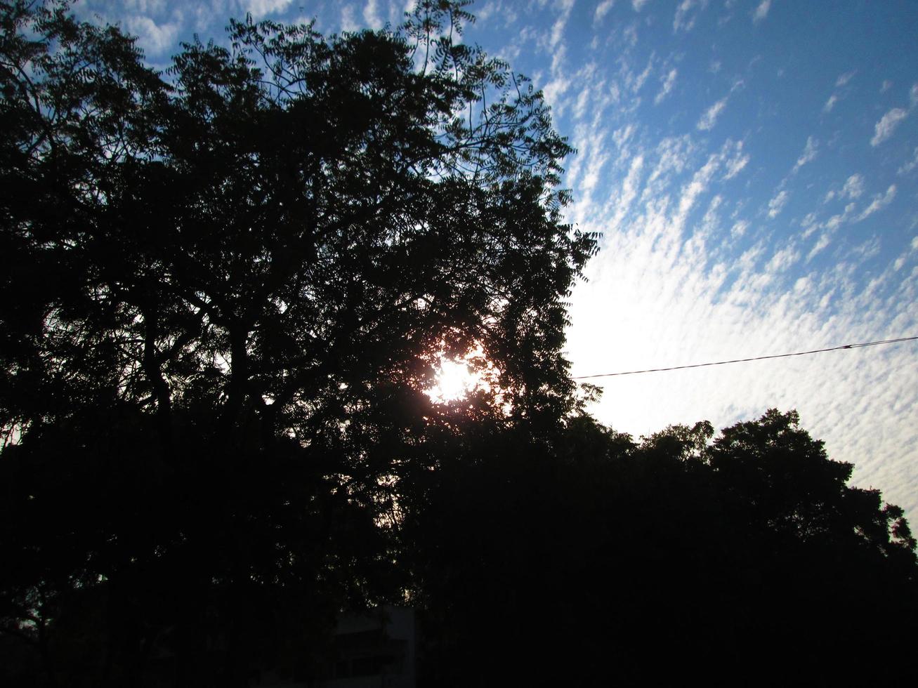 blå himmel och silhuett av träd under dag i karachi pakistan 2022 foto