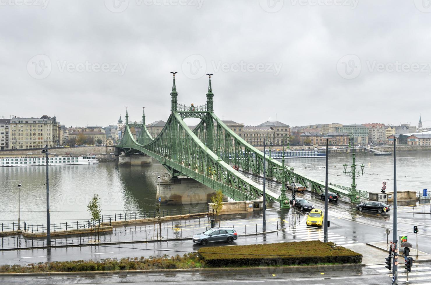 frihet bro - budapest, ungern foto