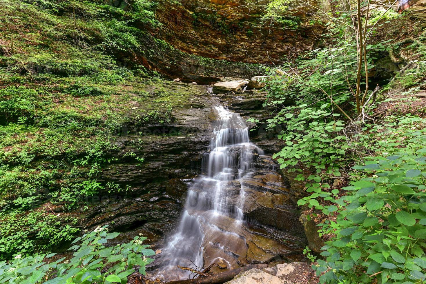 vattenfall i ricketts dalgång stat parkera, pennsylvania. foto