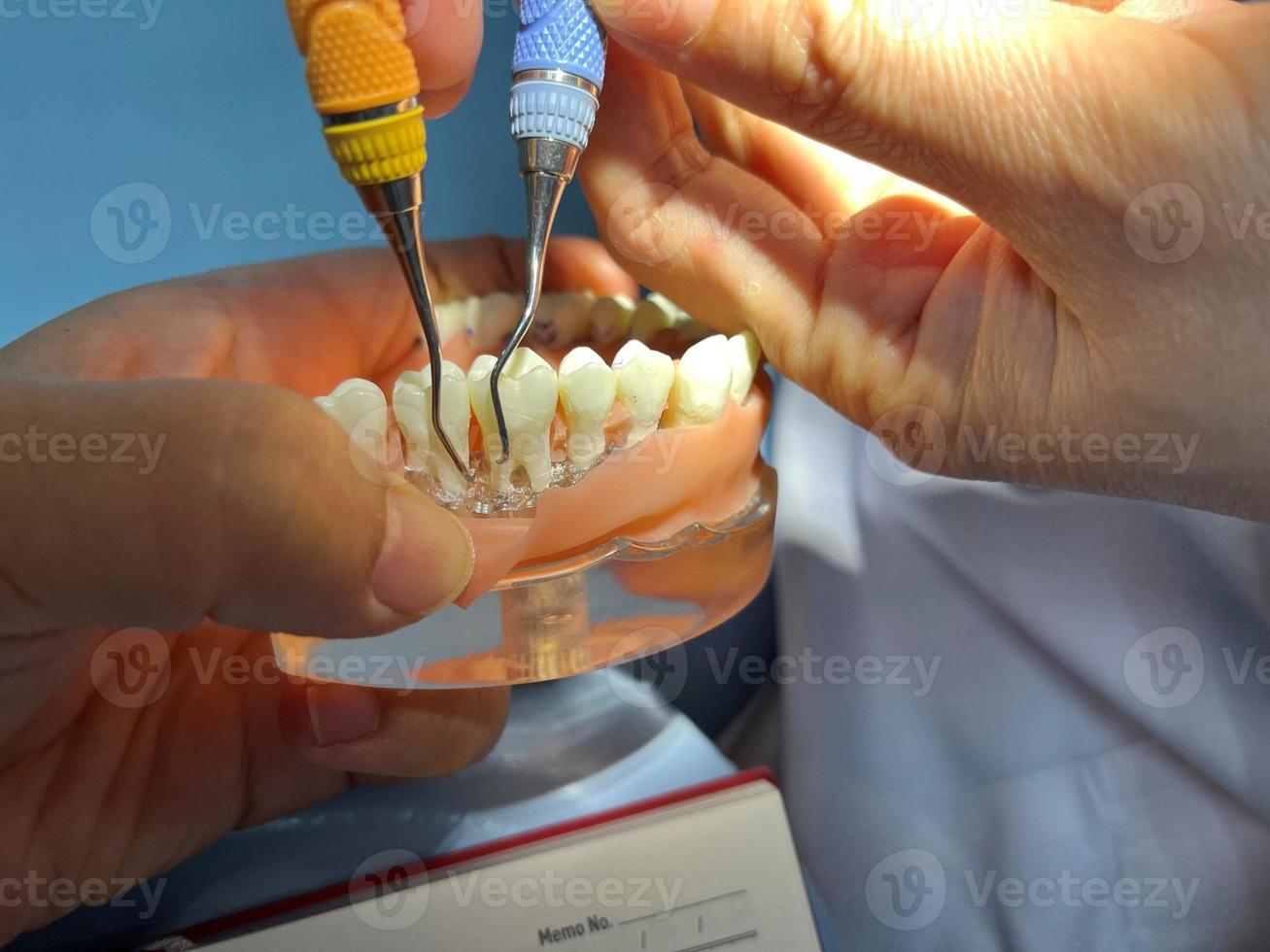 tänder modell. dental studie modell på tandläkare hand. leksak käke i skåp av dental klinik. foto