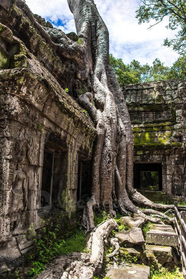 ta prohm tempel ruiner dold i djungler, siem mogna, cambodia foto