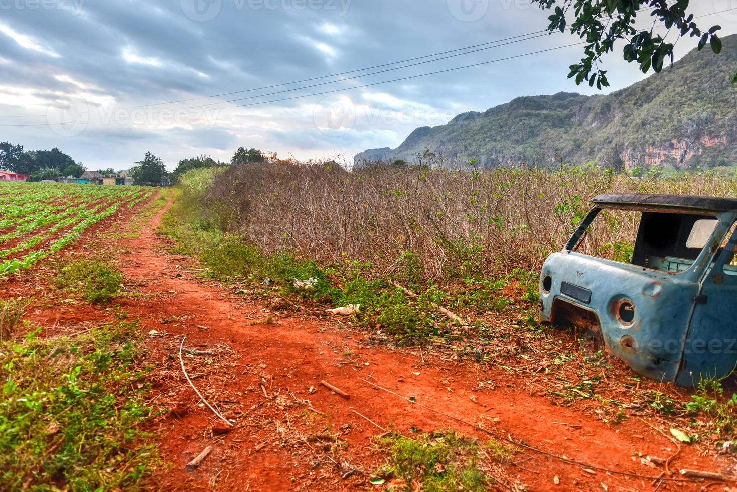 tobak plantage och ett övergiven skåpbil i de vinales dal, norr av kuba. foto