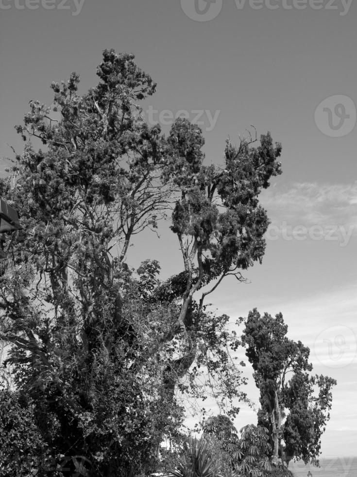 ön teneriffa i spanien foto