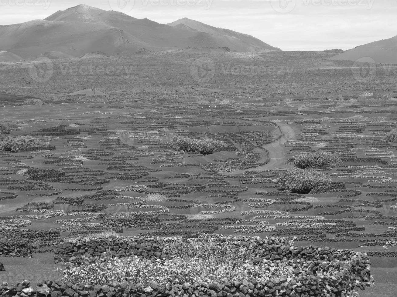 lanzarote ön i spanien foto