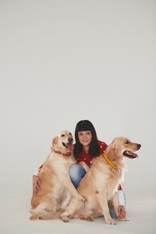 kvinna är med henne två gyllene retrievers i de studio mot vit bakgrund foto