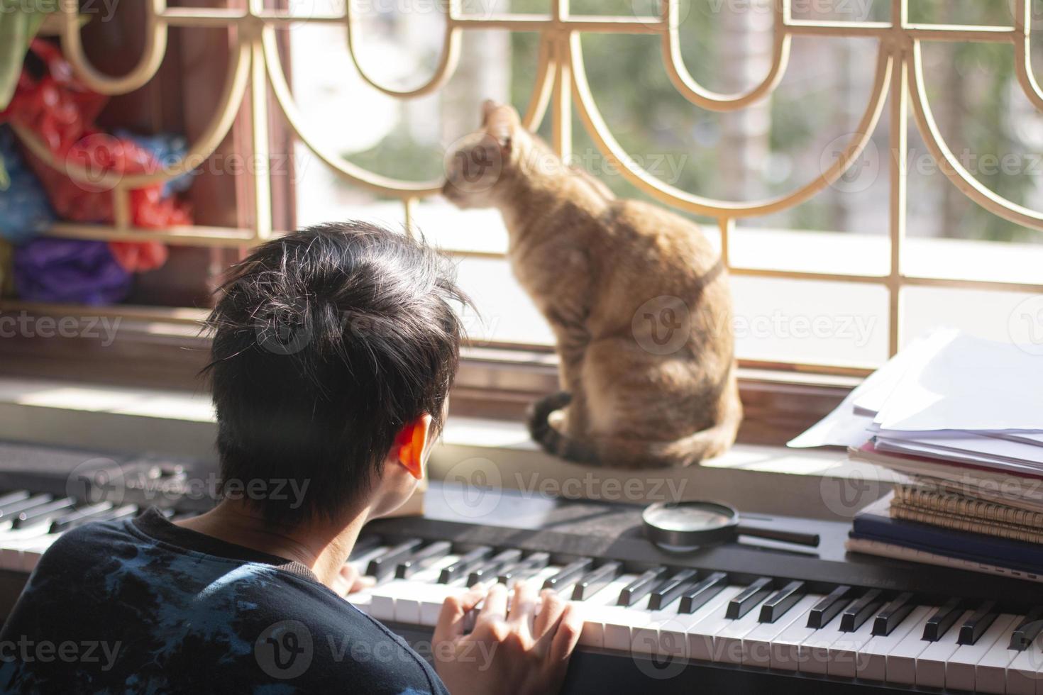 vistas på Hem under coronavirus karantän med katt, Sammanträde på fönster nära de piano på solig dag foto