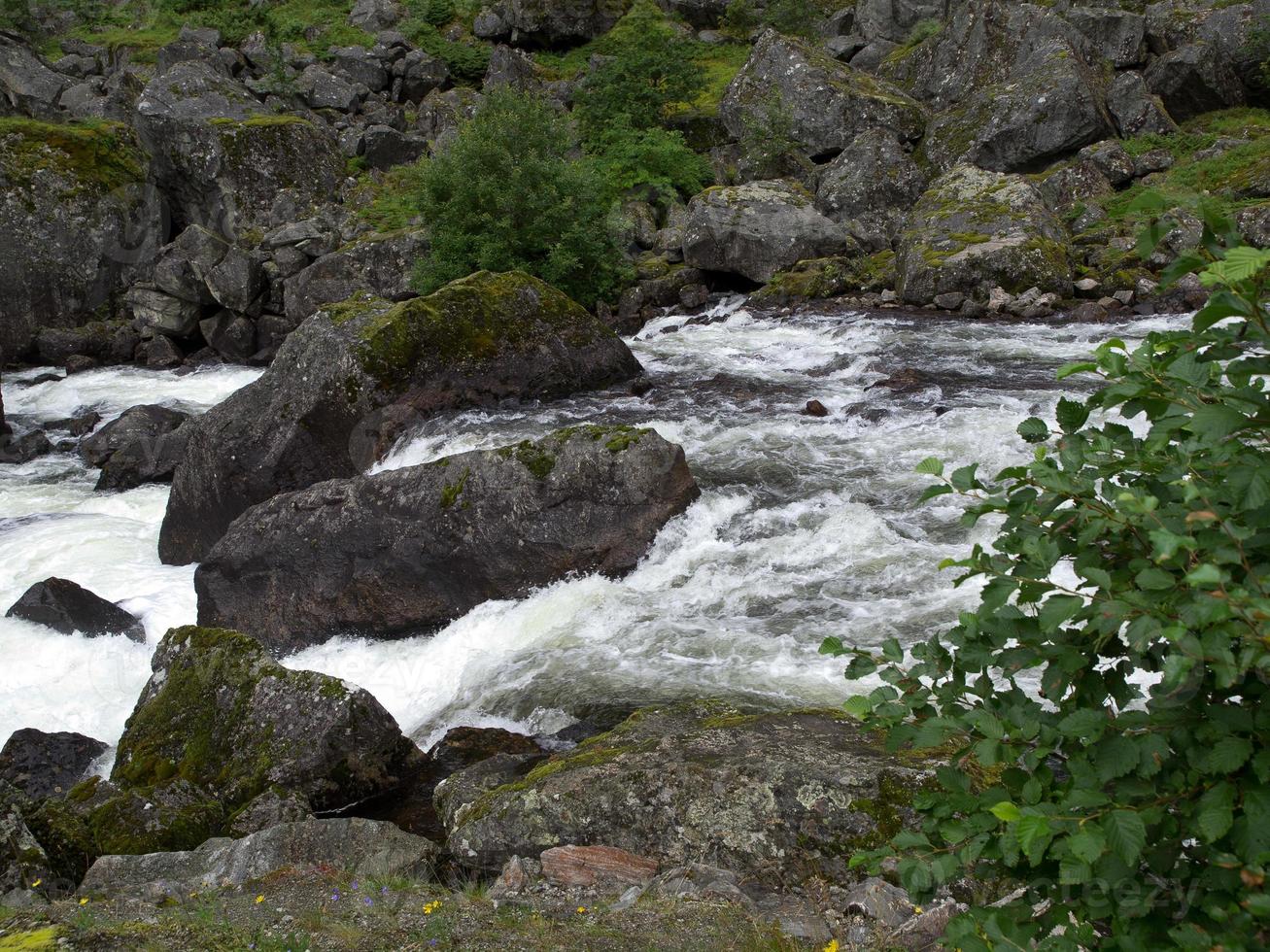 stavanger och de fjordar av Norge foto